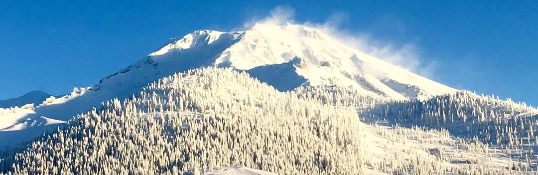 Resorts That Get the Most Out of the Season