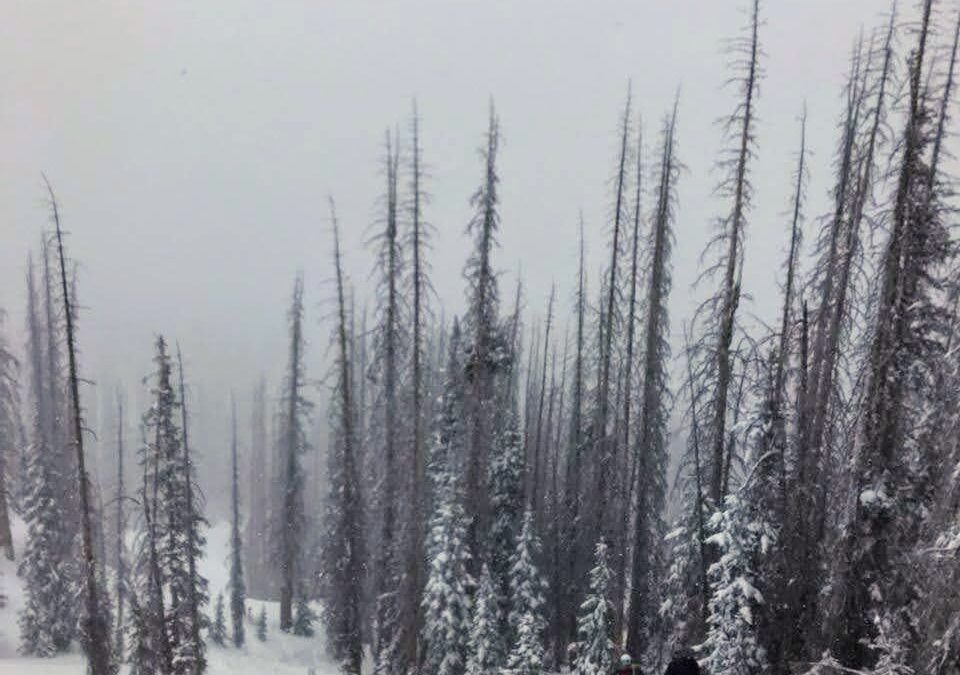 Packing Right While Skiing