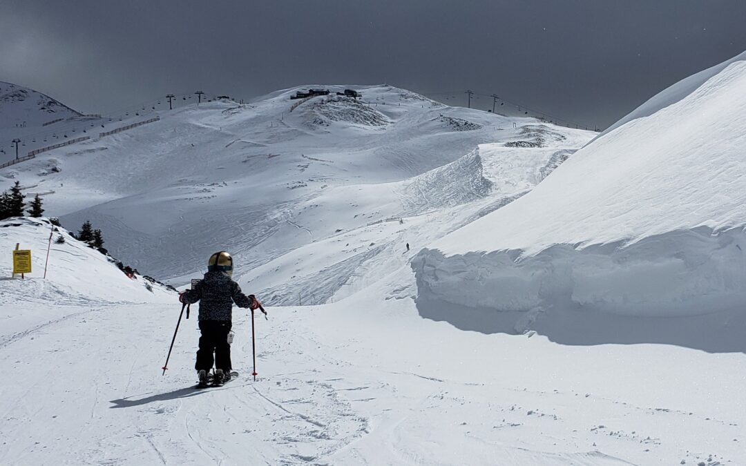 A Thank You From Our Team