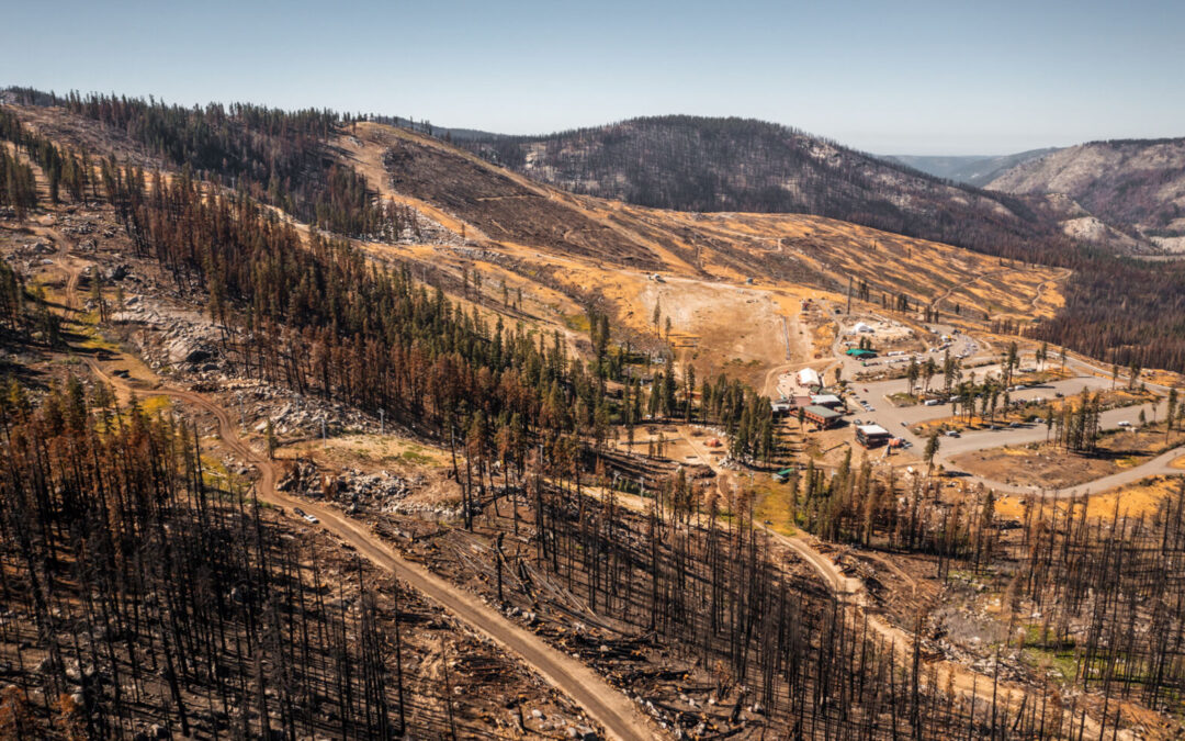Sierra-at-Tahoe Has Risen from the Ashes