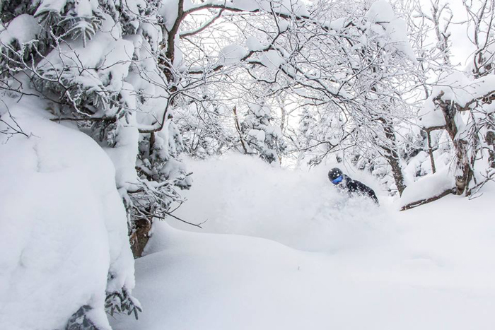 Winter Storm Stella Delivers to Jay Peak