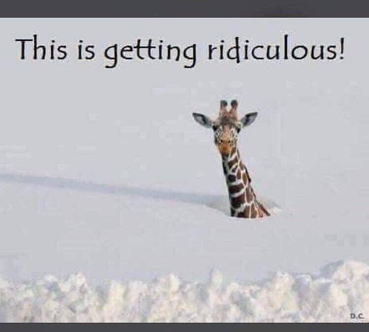 You Can’t Find the Sierra Nevada For All the Snow