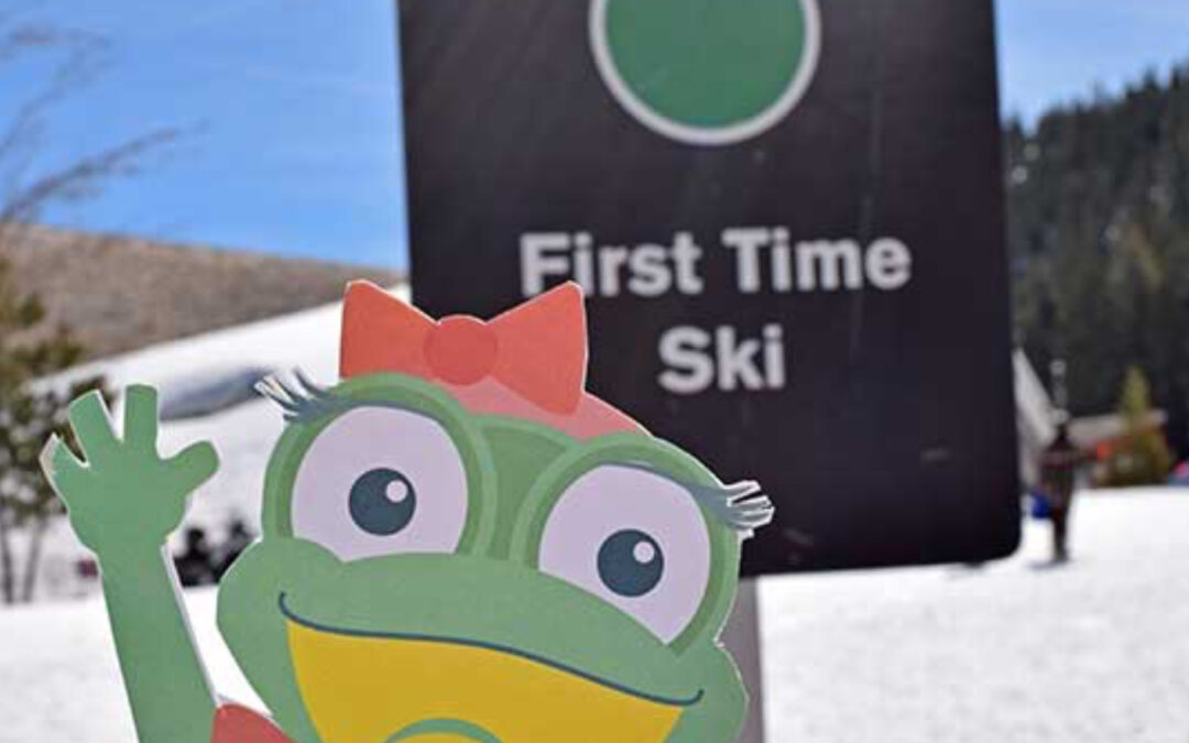 Where Green Is Golden — Ski Areas for Beginners