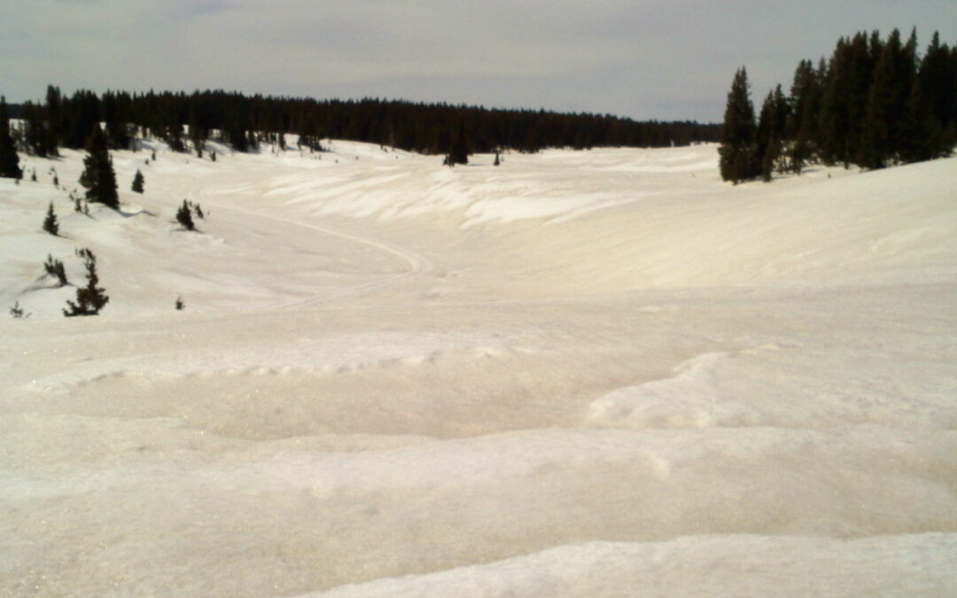 Making the Best of Dust On Crust