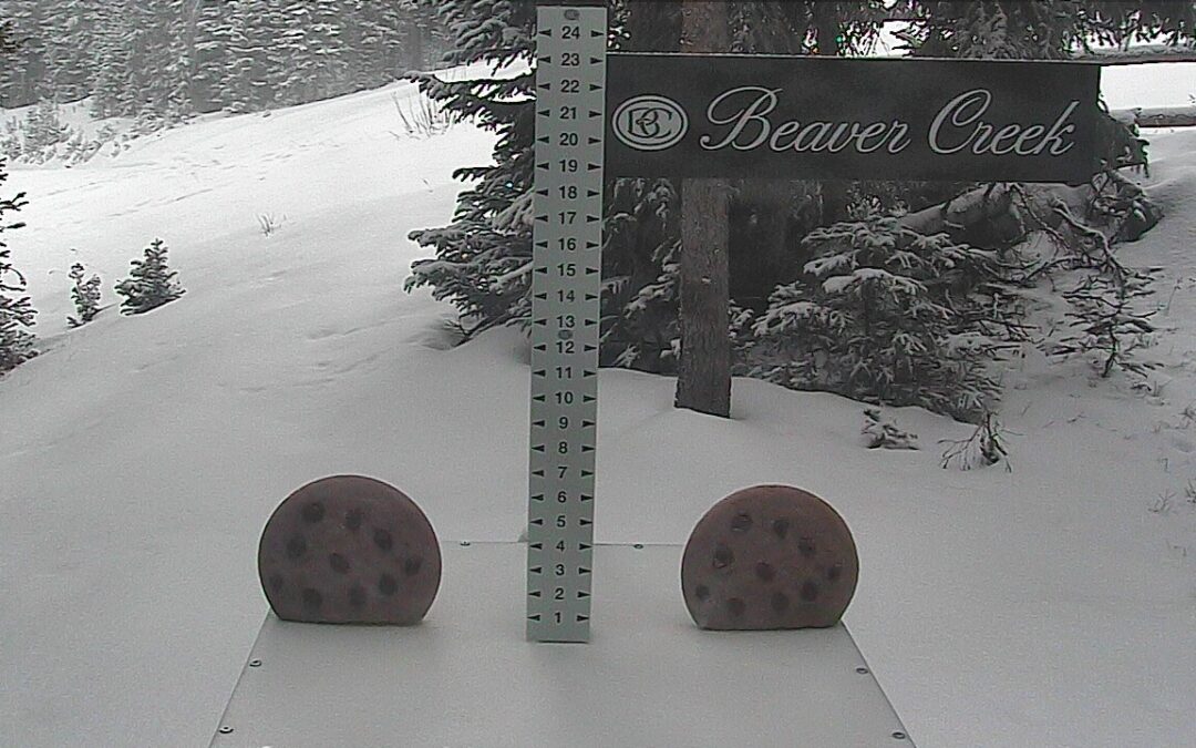 What to do when the Snow Sucks?