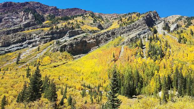 Welcoming Back an Old Friend