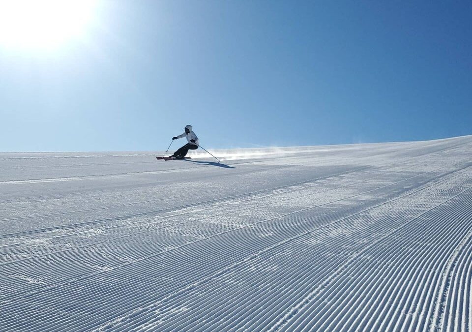 What Makes a Great Groomer?